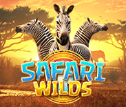 Safari Wilds